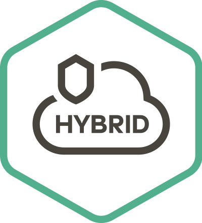 Kaspersky Security для виртуальных и облачных сред, Server