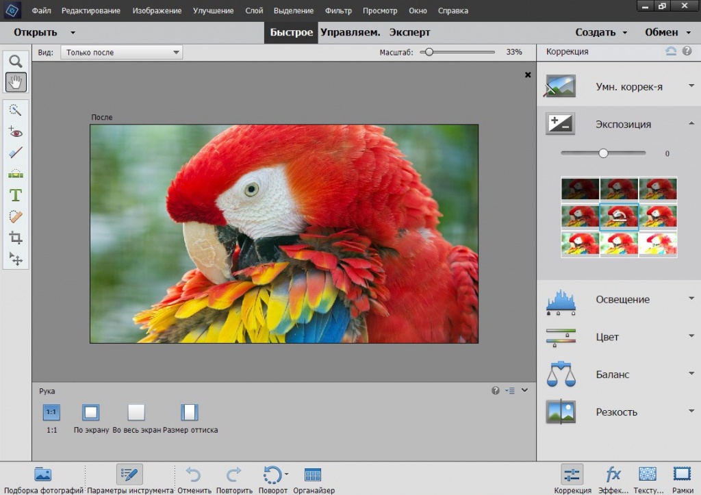 Проект графический редактор adobe photoshop