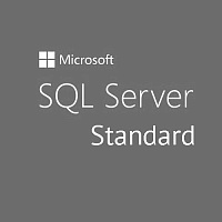 SQL Server 2019 Standard Edition 