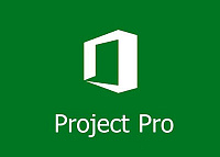Project Professional 2021
