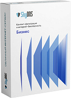 SkyDNS.Бизнес