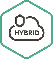 Kaspersky Security для виртуальных и облачных сред, Server