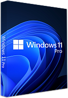 Windows 11 Pro