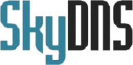SkyDNS