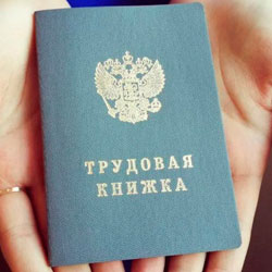 Раздел «Трудовые книжки» появился в Экстерн